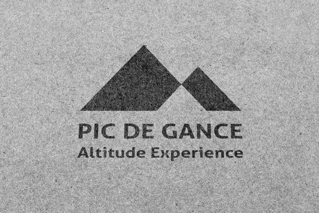 pic-de-gance-logo-mockup-marta-smirnova-1800-1200.webp